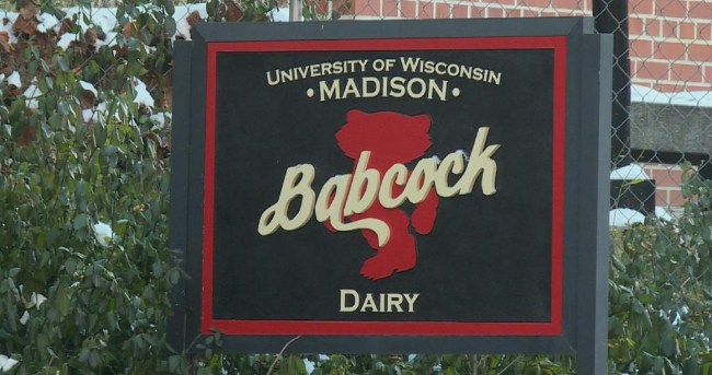 babcock dairy store hours